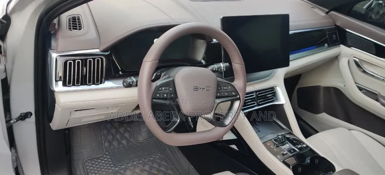 New BYD Song Plus 2025 Gray
