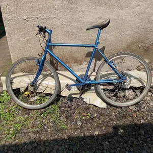 Phonex Bike