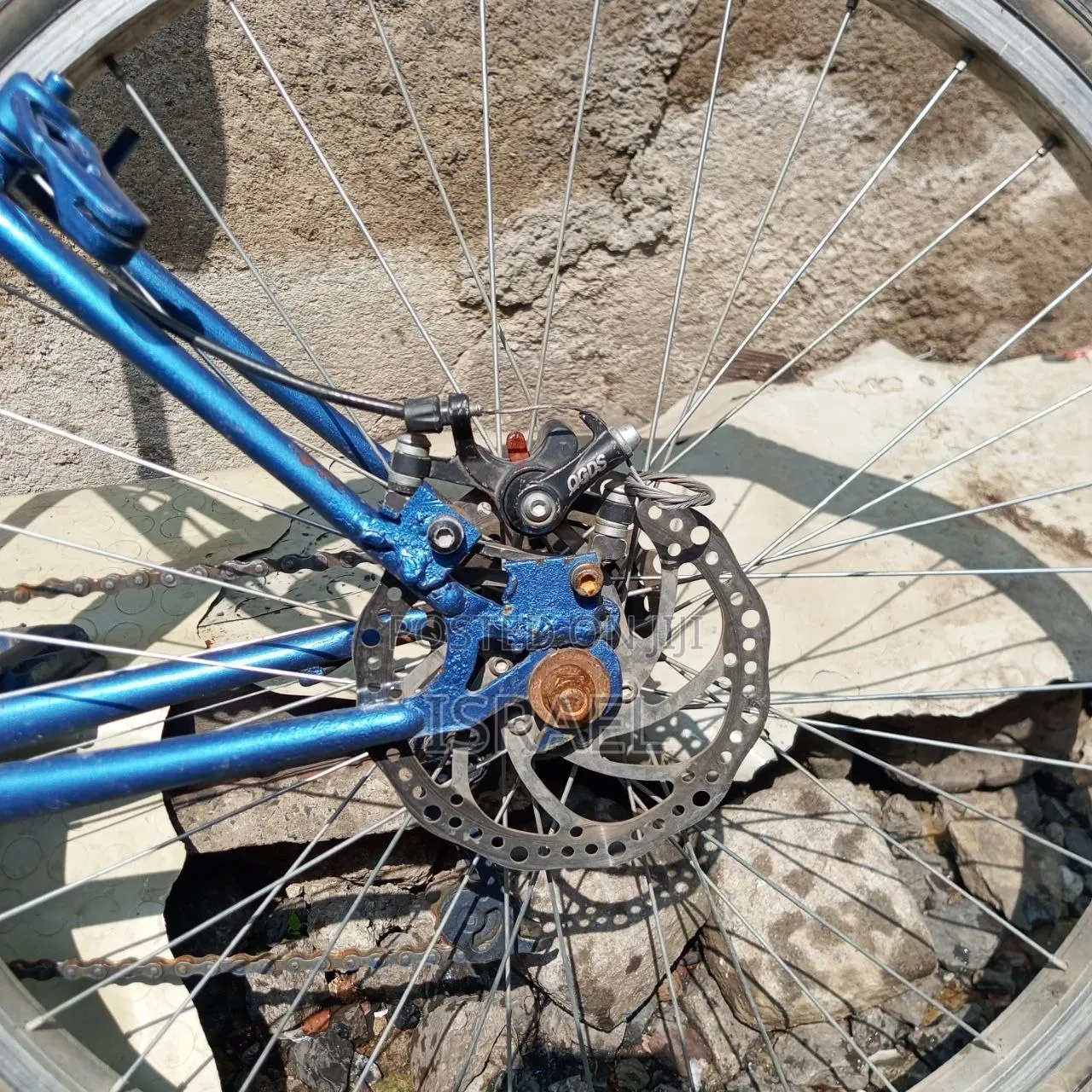 Phonex Bike