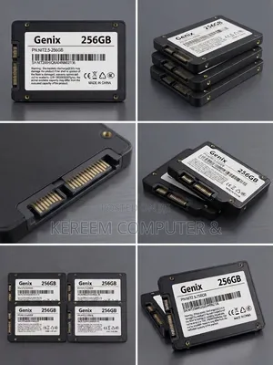 Genix 256 GB SSD