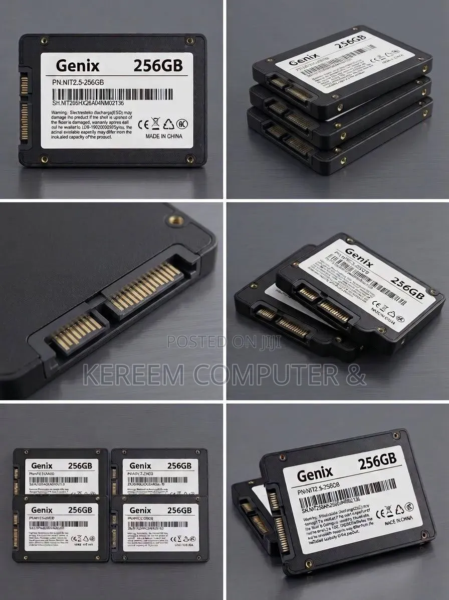 Genix 256 GB SSD