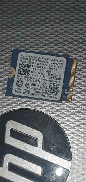 Brand New 256 Wd Nvme SSD