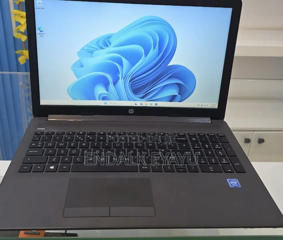 New Laptop HP 4GB Intel SSD 128GB