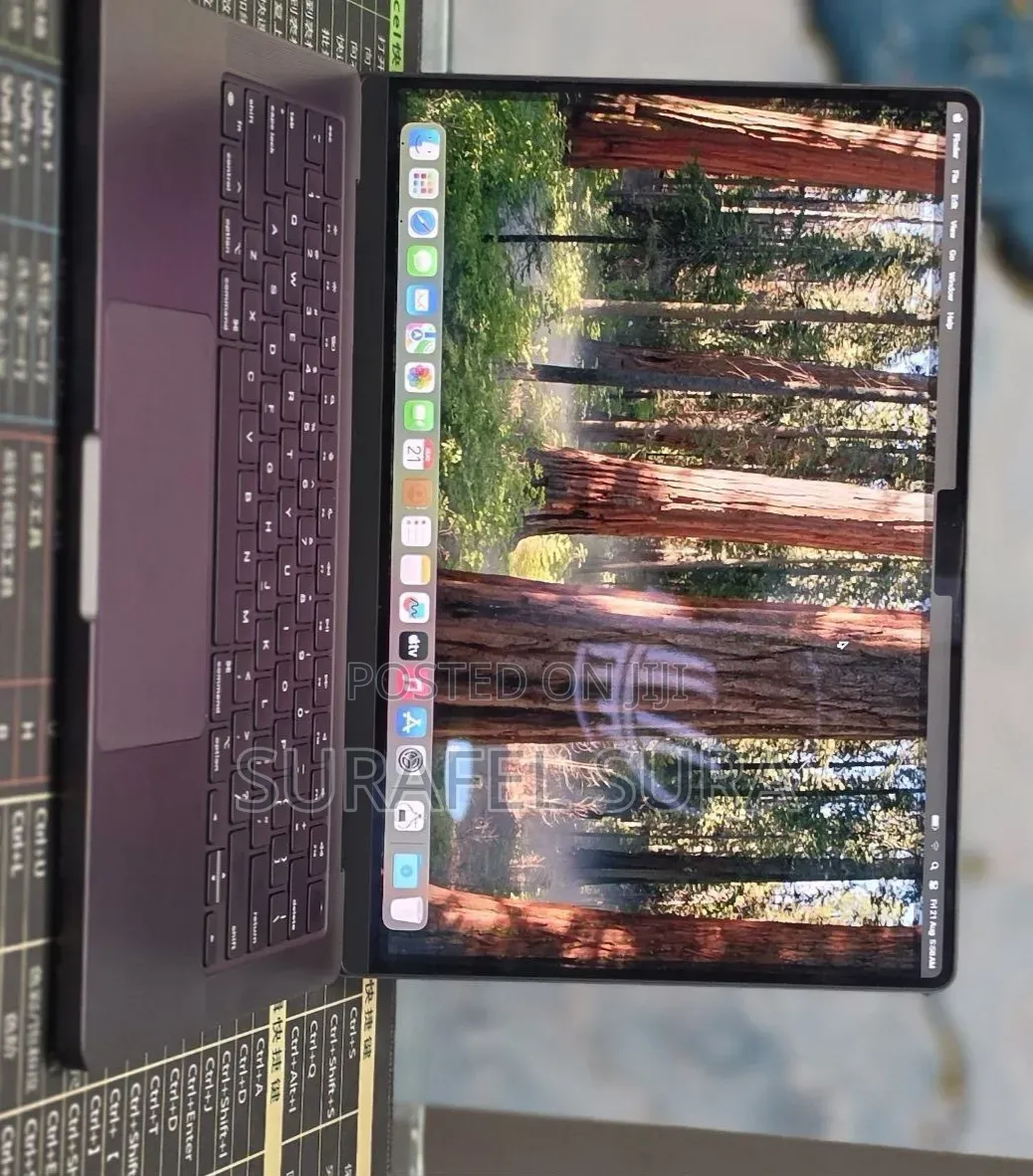 New Laptop Apple MacBook Pro 2024 M4 16GB Apple M4 SSD 512GB