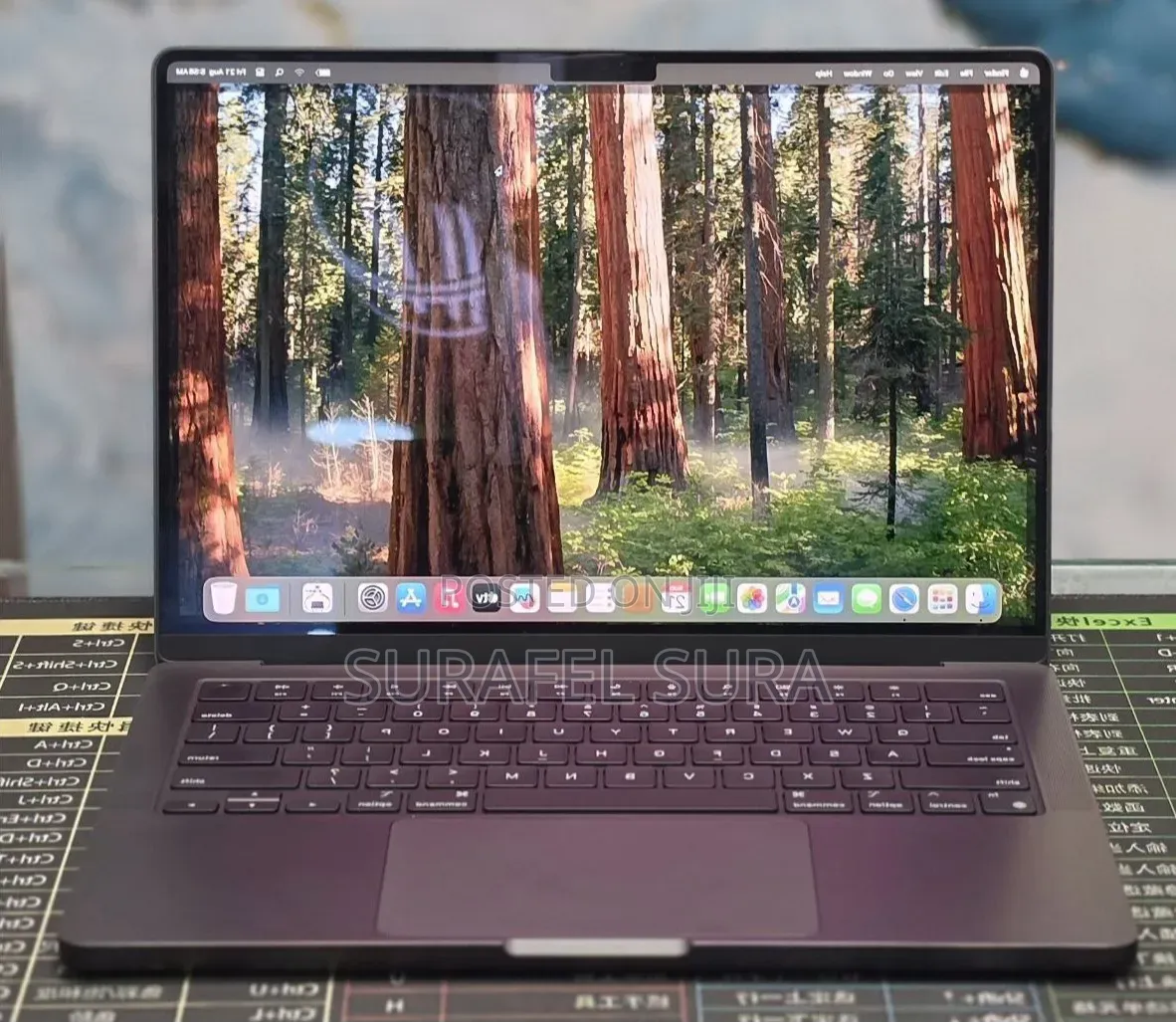 New Laptop Apple MacBook Pro 2024 M4 16GB Apple M4 SSD 512GB