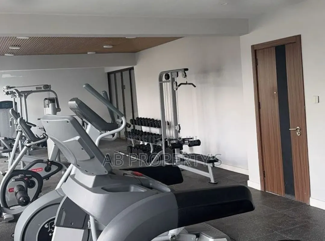 Furnished 3bdrm Apartment in Alem Cinema, Bole for sale