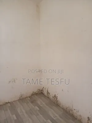 Furnished 5bdrm House in ሀያት, Bole for Sale