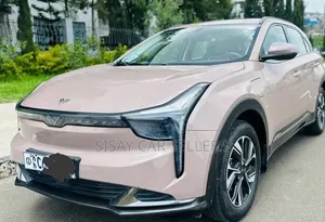 Hozon Neta U 2023 Pink