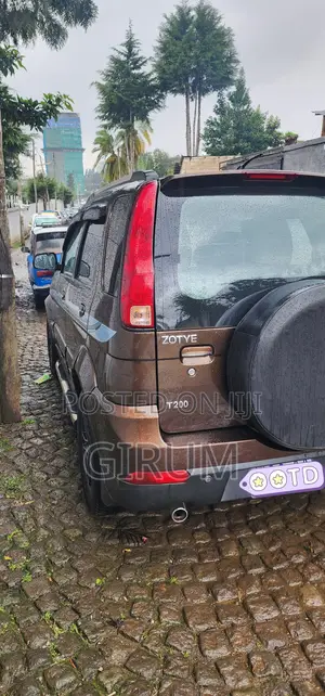 Zotye T200 2014 Brown