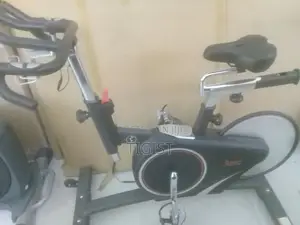 Sunny Health and Fitness Indoor Cycling Bike