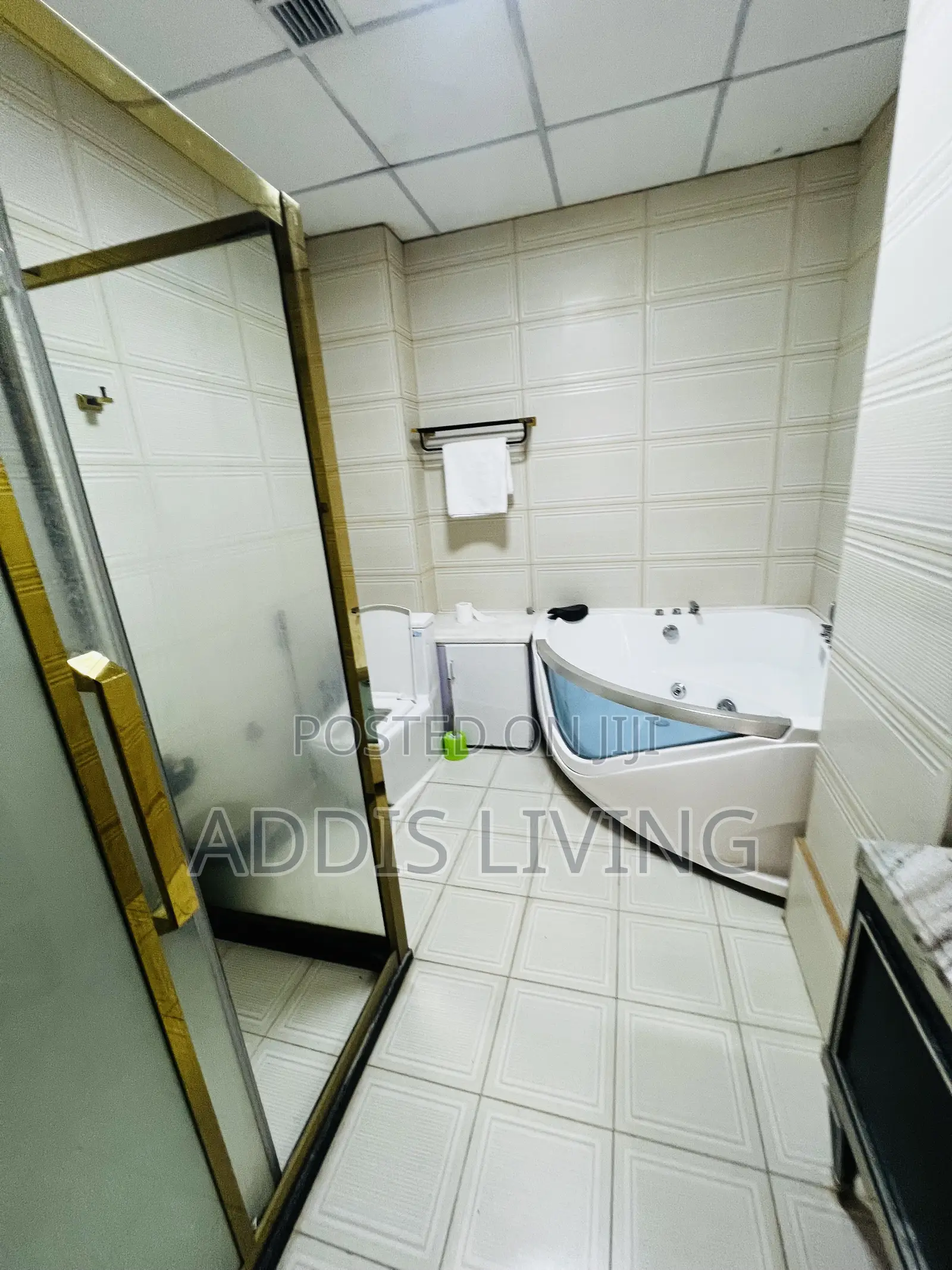 Furnished 2bdrm Apartment in Bole for rent