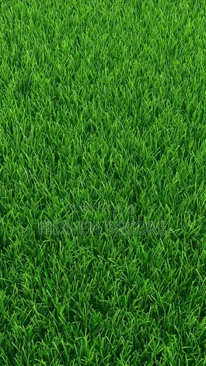 Artificial Grass