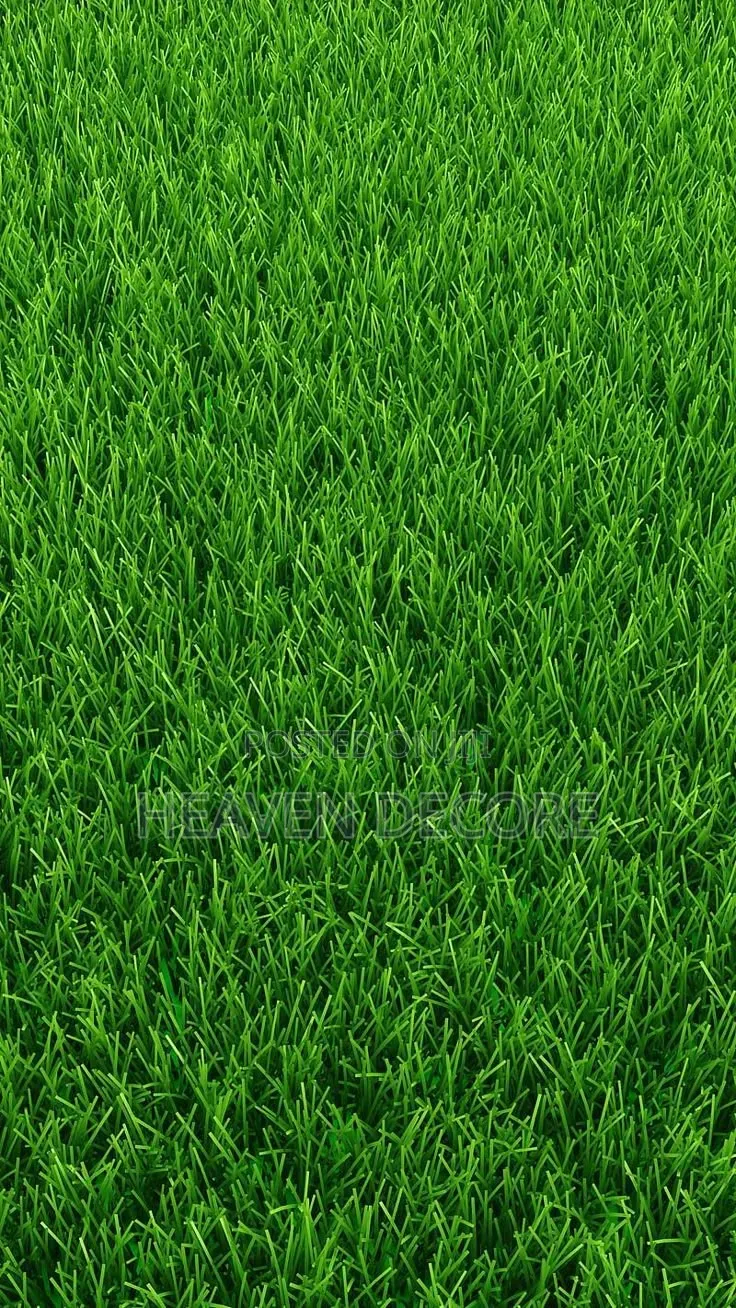 Artificial Grass