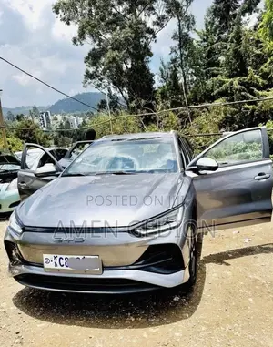BYD E2 43 kWh 94 hp FWD 2024 Silver