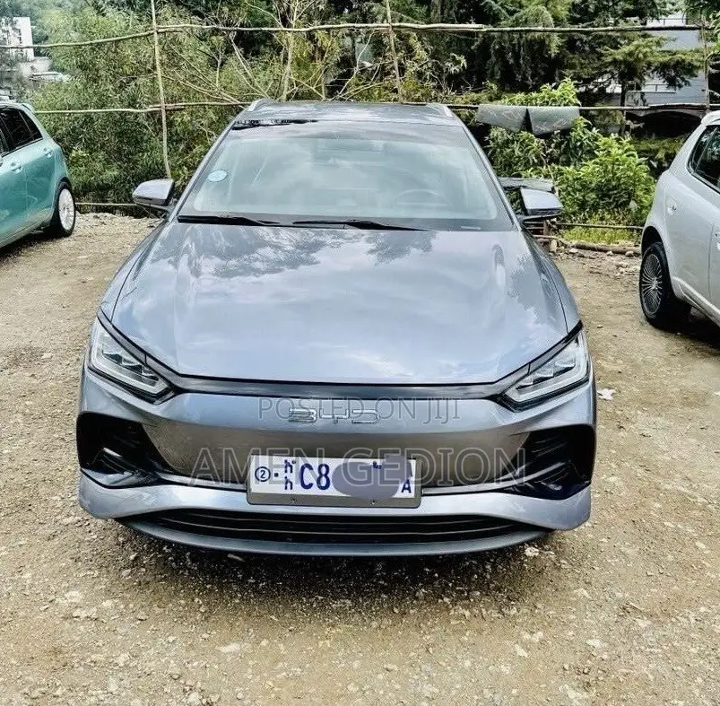 BYD E2 43 kWh 94 hp FWD 2024 Silver