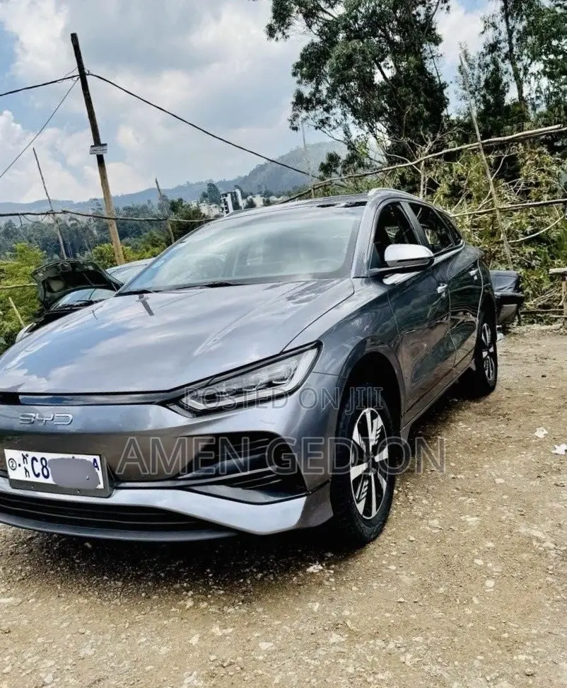 BYD E2 43 kWh 94 hp FWD 2024 Silver