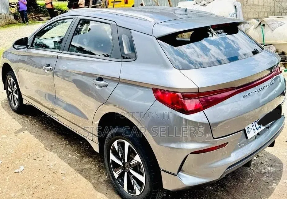BYD E2 43 kWh 94 hp FWD 2024 Silver