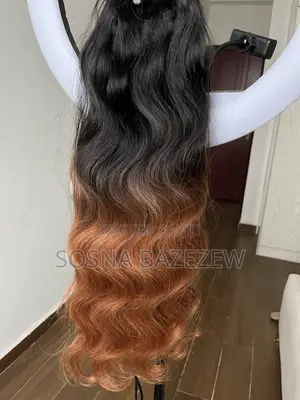 1ኛ ደረጃ ላይክ ሂውማን