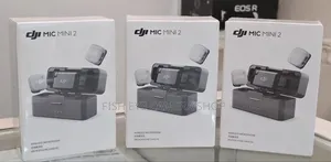 DJI MiMI 2