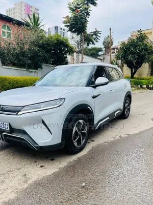 New BYD Yuan Up 2024