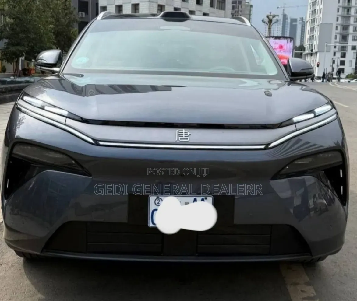BYD Tang EV 2025 Gray