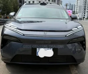BYD Tang EV 2025 Gray