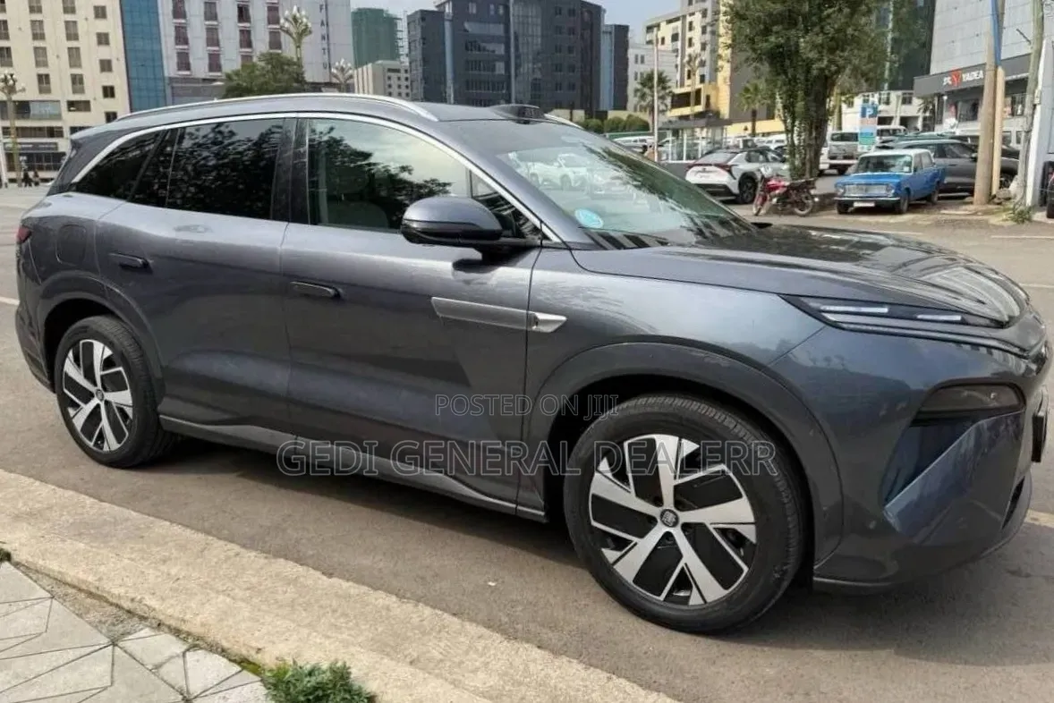 BYD Tang EV 2025 Gray