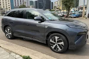 BYD Tang EV 2025 Gray