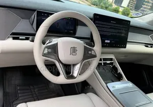 BYD Tang EV 2025 Gray