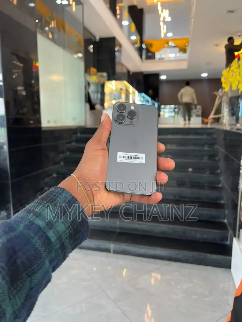 Apple iPhone 13 Pro 256 GB Gray
