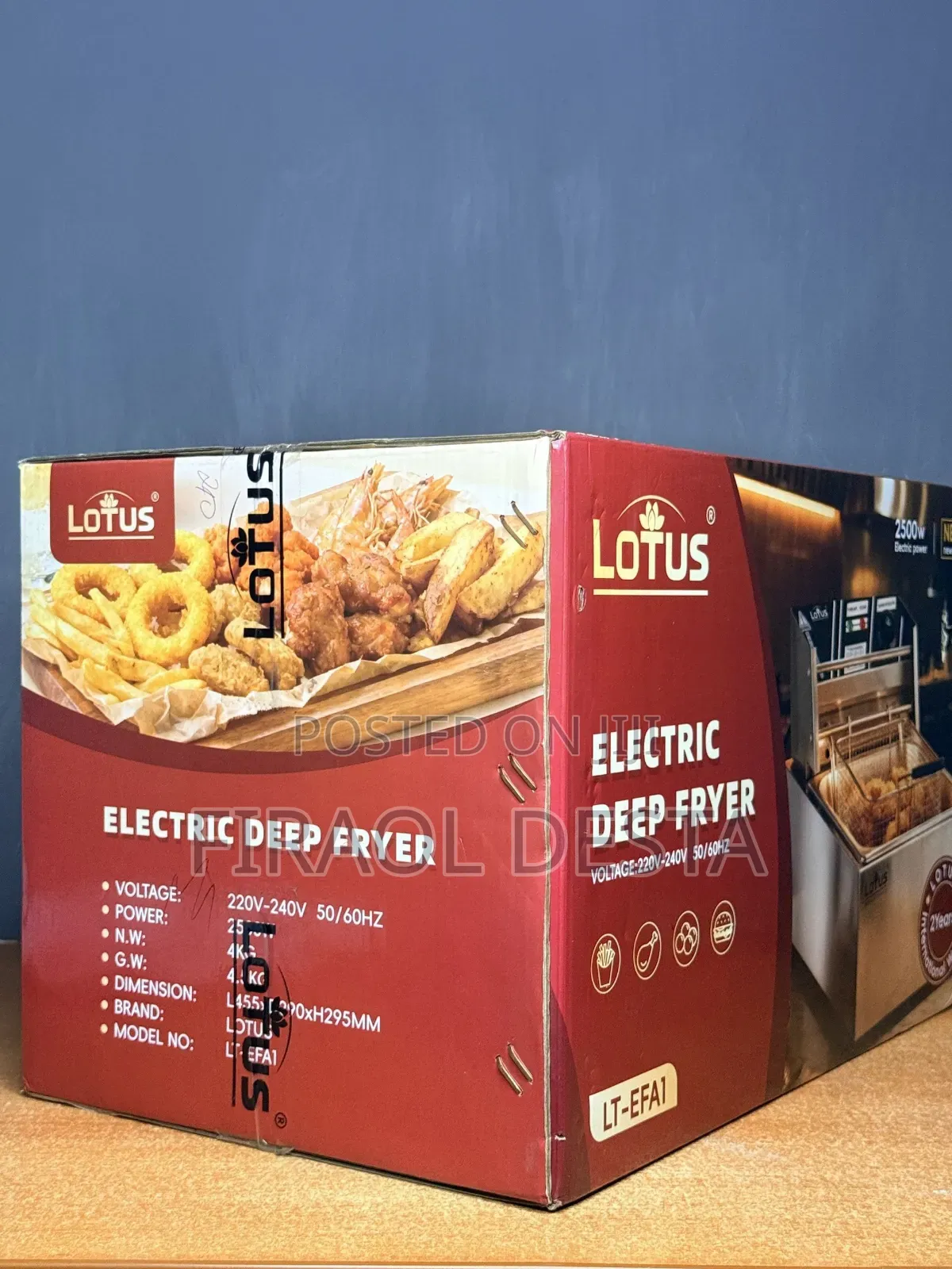 Electric Deep Fryer