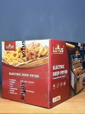 Electric Deep Fryer
