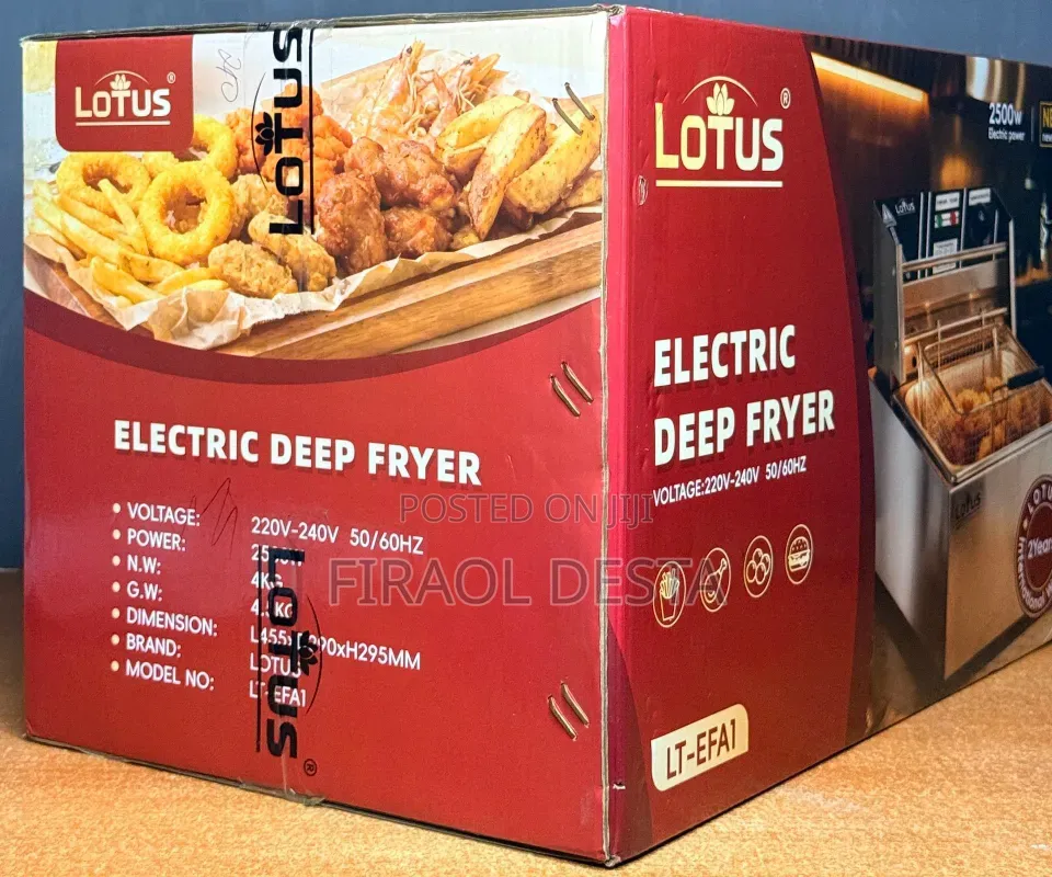 Electric Deep Fryer