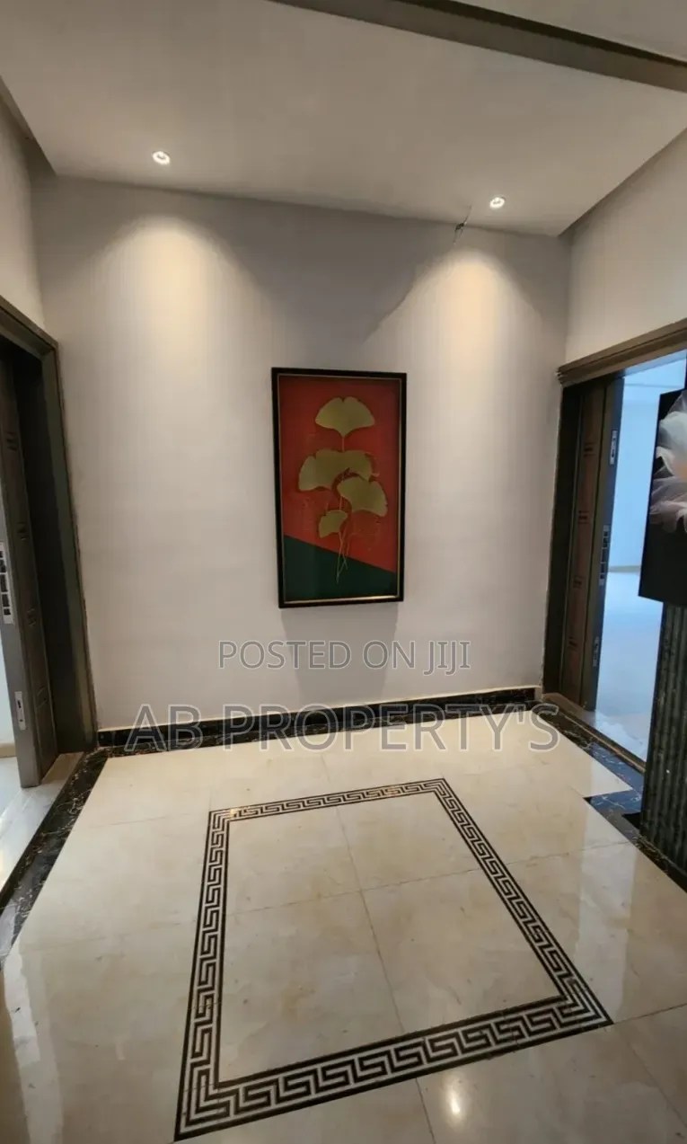 Furnished 3bdrm Apartment in Bole Danbel for sale