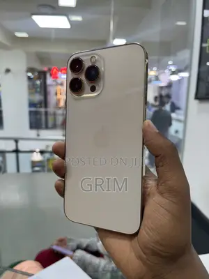 Apple iPhone 13 Pro Max 256 GB Gold