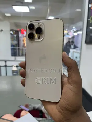 Apple iPhone 13 Pro Max 256 GB Gold