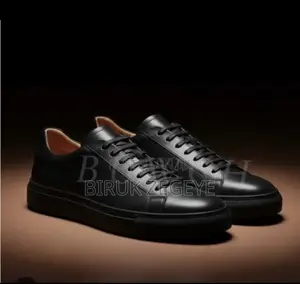 Zara Shoes