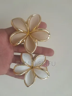 Hair Clips