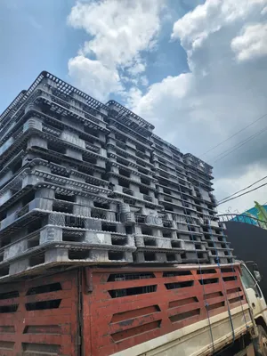 Pallets Amazing Size and Kg