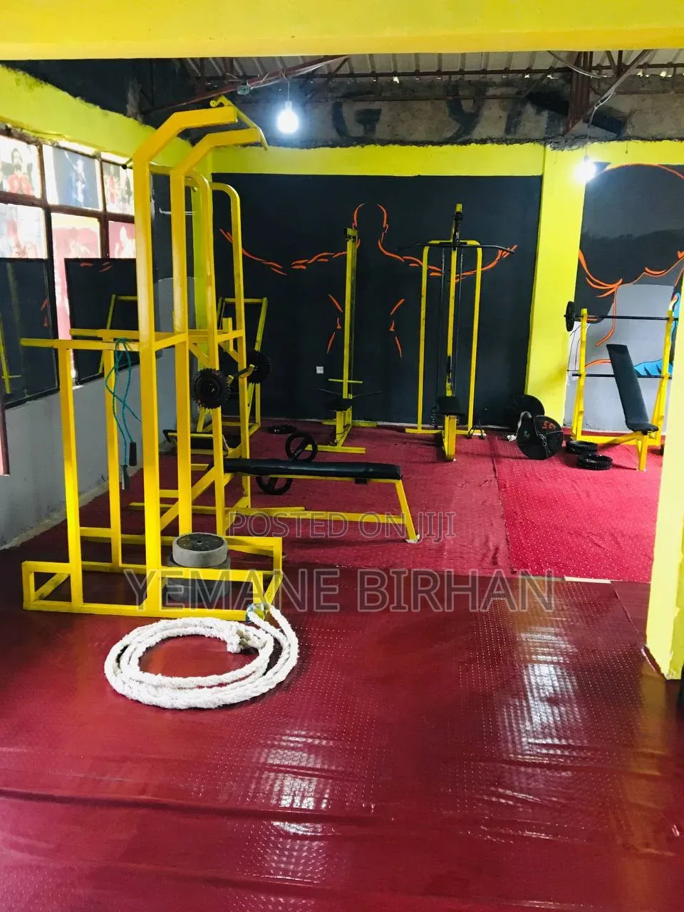Gym and Fitness Equipment for Strength Training and Body Building