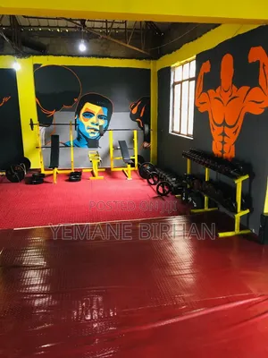 Gym and Fitness Equipment for Strength Training and Body Building