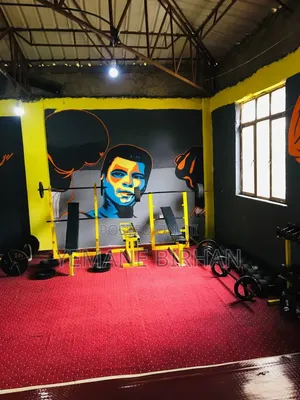 Gym and Fitness Equipment for Strength Training and Body Building
