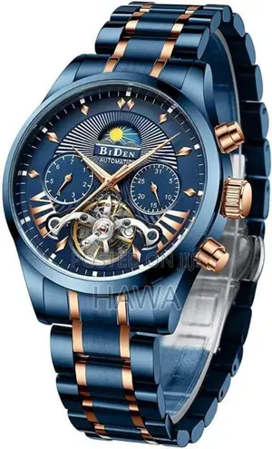 Biden Watch
