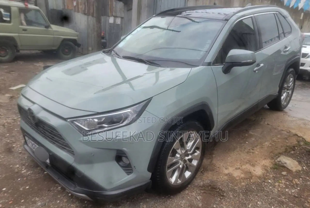 Toyota RAV4 2020 Gray