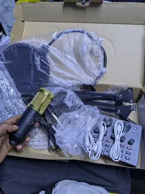 Professional Condenser Microphone + Audio Mixer Kit