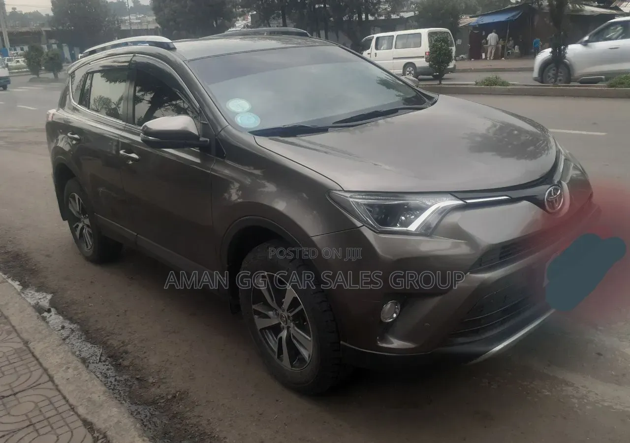 Toyota RAV4 2017 Gray