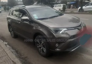 Toyota RAV4 2017 Gray