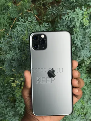 Apple iPhone 11 Pro Max 256 GB Gray