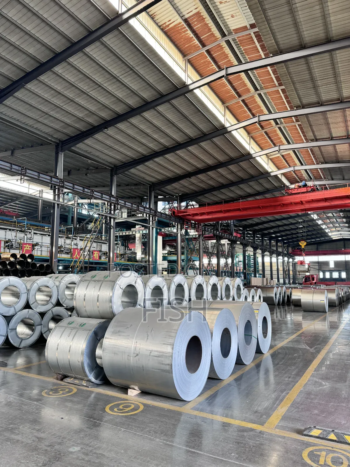 Steel Coil