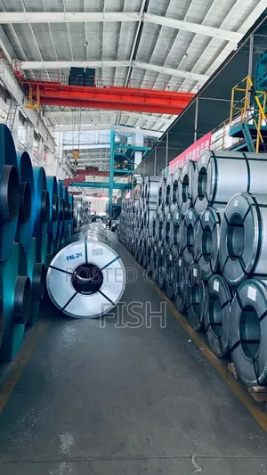 Steel Coil